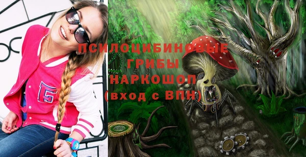 кокс Алзамай