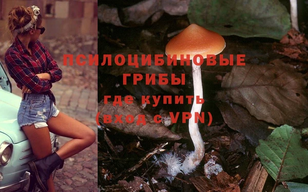 таблы Алексин