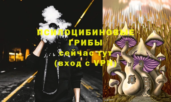таблы Алексин