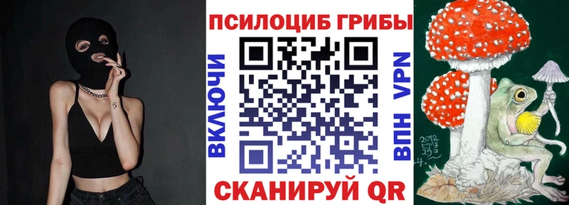 наркота  Дедовск  Псилоцибиновые грибы Cubensis 